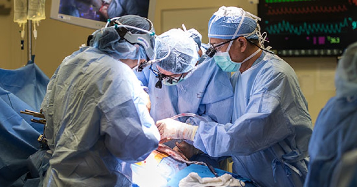 Transplant Surgery | Department of Surgery | The University of Chicago